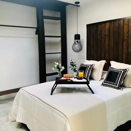 Canaryislandshost L Appartement